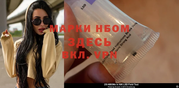 PSILOCYBIN Алзамай