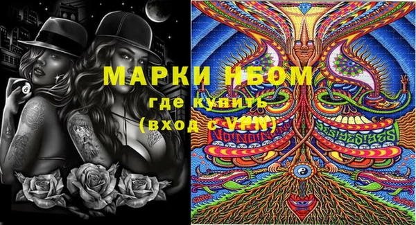 PSILOCYBIN Алзамай
