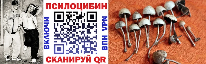 Галлюциногенные грибы мухоморы  Пласт 