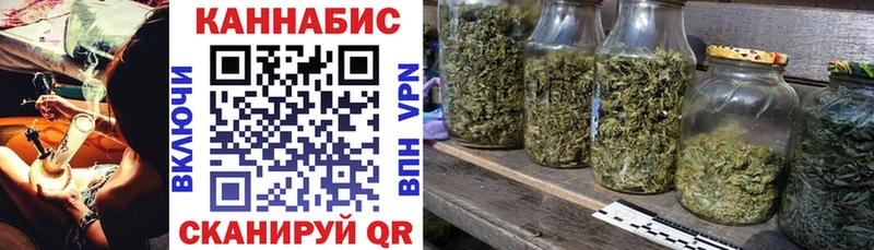 Канабис гибрид  Пласт 